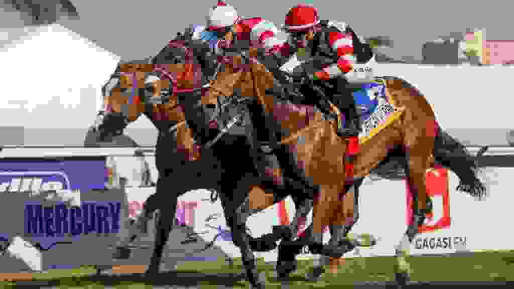 Bishopsgate Horse Racing And Sport Betting Festival