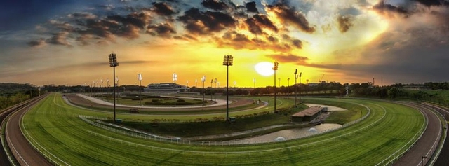 Singapore Racecourse Kranji Logo